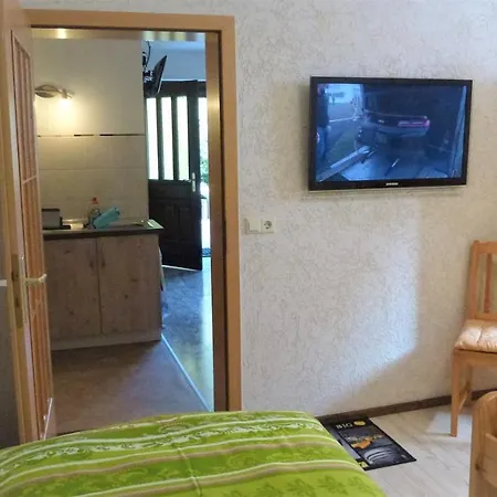 Apartament Ferienwohnung Oberlungwitz *