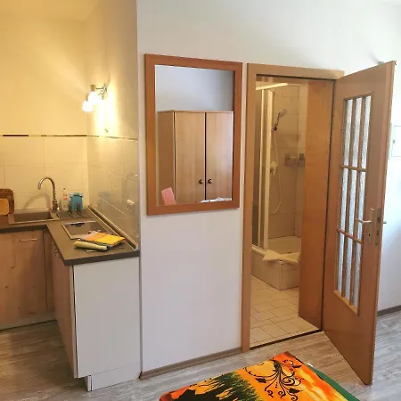 Ferienwohnung Oberlungwitz Apartament Oberlungwitz