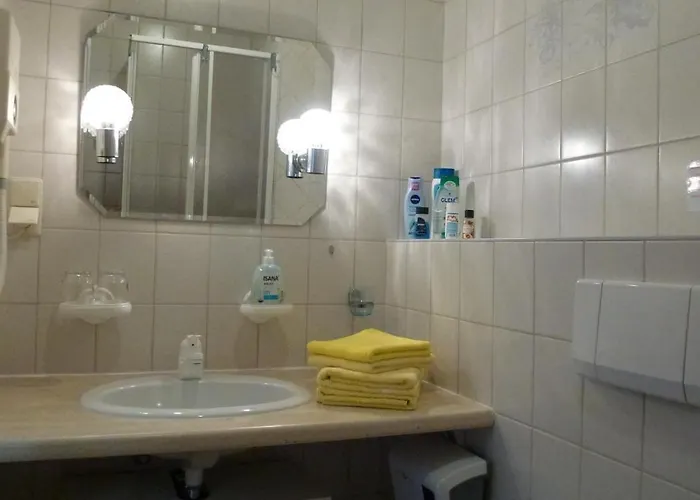 Ferienwohnung Oberlungwitz 아파트