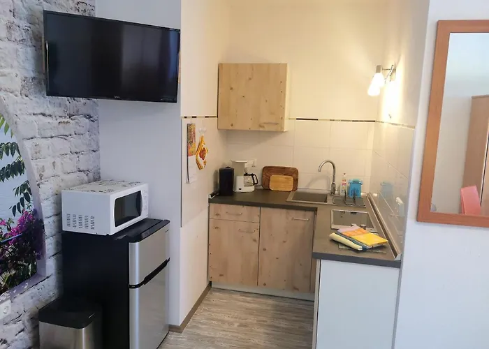 Ferienwohnung Oberlungwitz 아파트